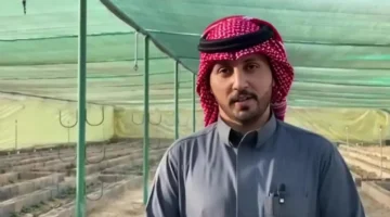 تجربة ناجحة.. مزارع سعودي يزرع 10 آلاف شتلة فراولة في محافظة طبرجل